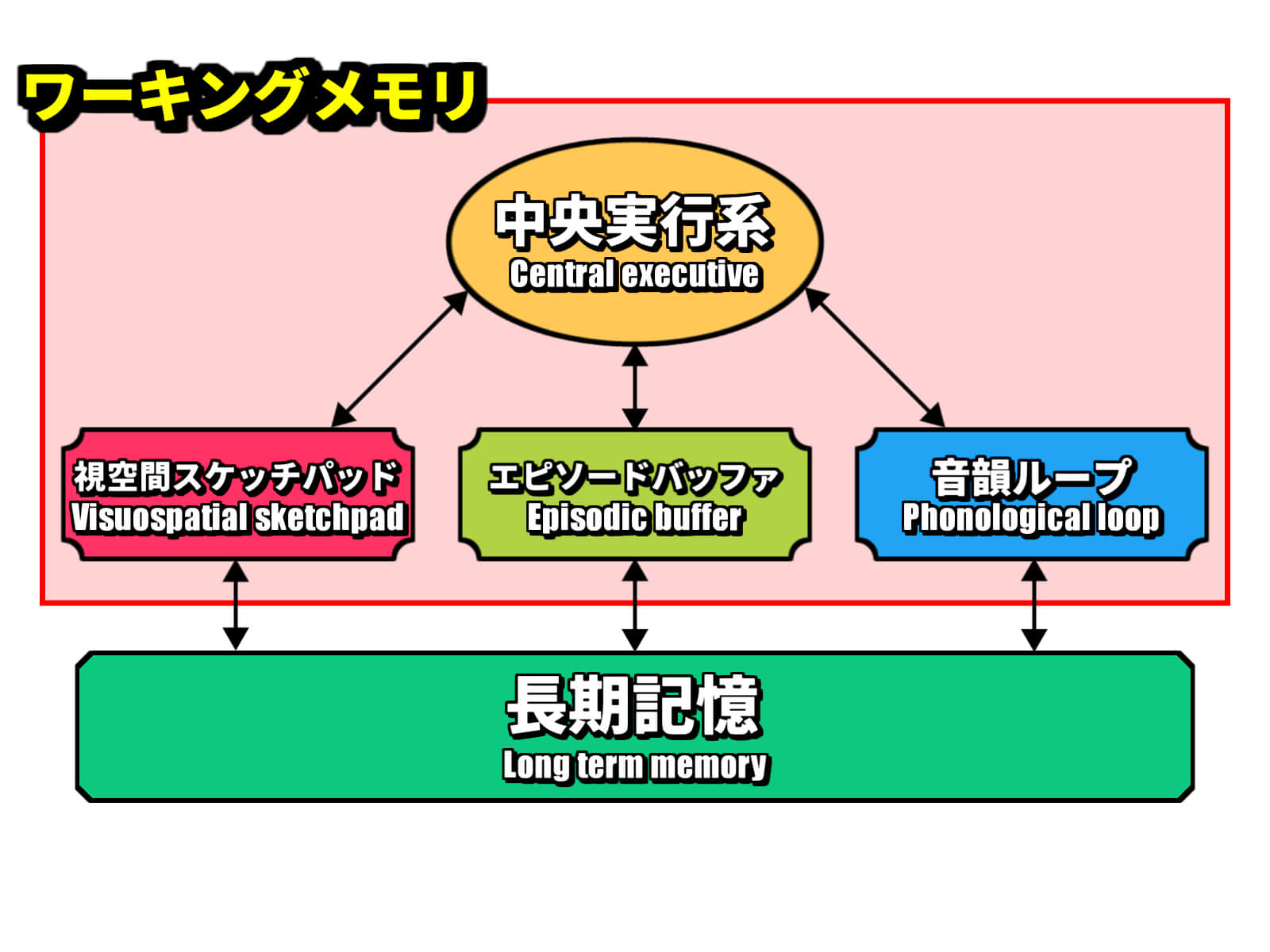 “ワーキングメモリー”ってなに?